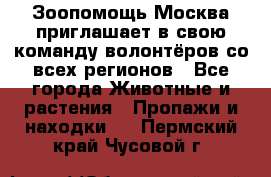 Зоопомощь.Москва приглашает в свою команду волонтёров со всех регионов - Все города Животные и растения » Пропажи и находки   . Пермский край,Чусовой г.